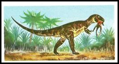 16 Megalosaurus